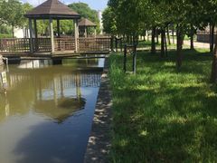 -松声马术俱乐部