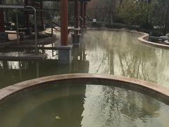 -思念果岭悦温泉