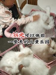 -萌兔星空蹦床撸兔馆