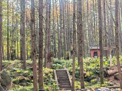 -洛阳白云山景区