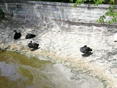 -石家庄市动物园