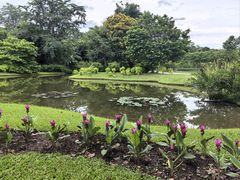 -中国科学院西双版纳热带植物园