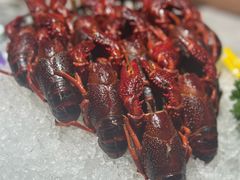 -洪福龙虾