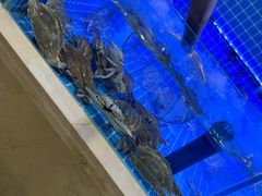 -七欣天香辣蟹火锅(苏州相城VIP总店)