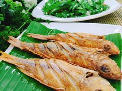 香煎金线鱼-刘记糟粕醋海鲜烧烤