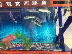 -肆月河豚·新淮扬(金融街店)