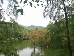 -广州市白云山风景名胜区
