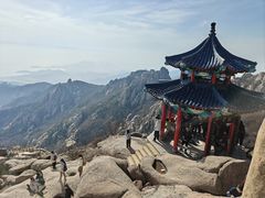 -崂山巨峰游览区