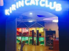 -十年猫舍·猫咪专门店(普陀店)