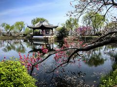-无锡蠡湖国家湿地公园-蠡园