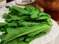 茼蒿-八先生涮肉房(三里河店)