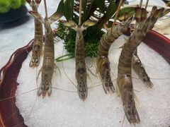 -鲐赏河豚(长寿店)