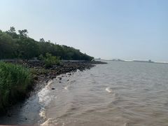 -吴淞炮台湾湿地森林公园烧烤区