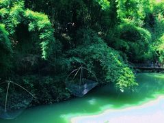 -三峡人家风景区