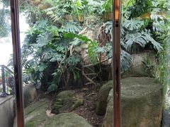 -鼓浪屿钢琴博物馆