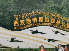 -西双版纳原始森林公园