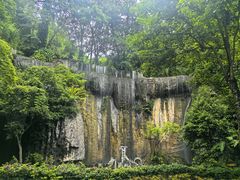 -西双版纳原始森林公园