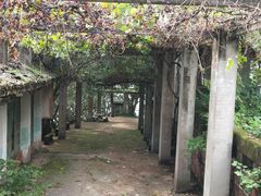 -三岔湖景区