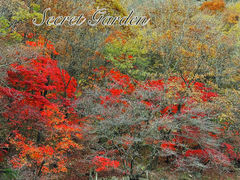 -本溪关山湖风景区