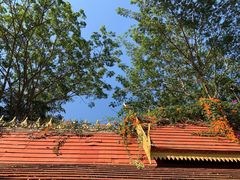 -西双版纳勐泐文化旅游区