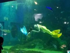 -石林冰雪海洋世界