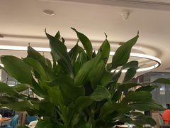 -港丽餐厅(杭大店)
