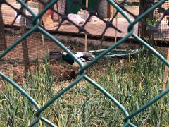 -云南艺术学院(呈贡校区)