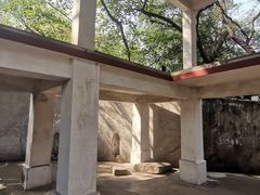 -蟹山公园
