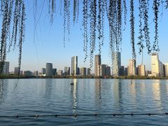 -天鹅湖体育公园