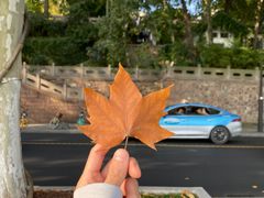 -北山街历史文化街区