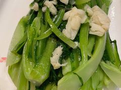 白灼广生-伊祥·敦煌楼