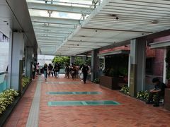 -香港大学