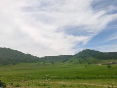 -关山草原