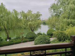 -鹊华居·地道鲁菜·海鲜·融合味(大明湖店)