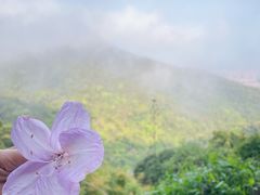 -梧桐山风景名胜区