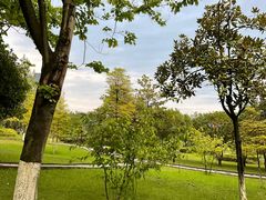 -西南政法大学(渝北校区)