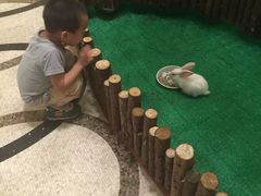 -常州武进九洲喜来登酒店