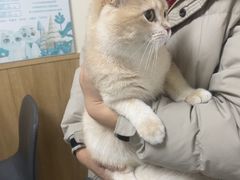 -瑞派宠物医院·24h·骨外科·皮肤科·全科宠物医疗转诊中心(沈阳浑南院)
