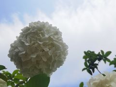 -大龙山(地铁站)