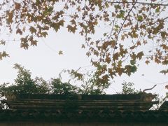 -苏州园林博物馆