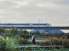 -光明小镇欢乐田园