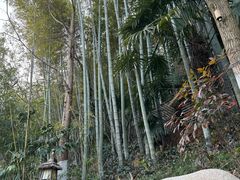 -天目湖御水温泉·度假酒店