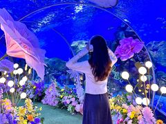 -顺德南宏海立方海洋公园