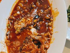 -燕郊烧鸽子(酷车小镇店)