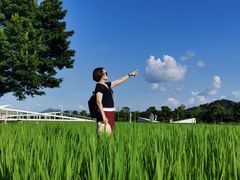 -风云岭森林公园