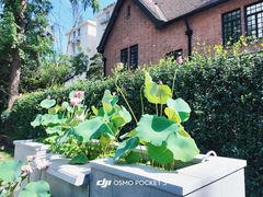 -一尺花园(安和花园店)