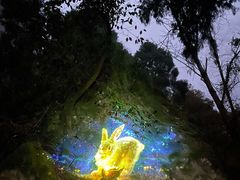 -雁荡山风景名胜区