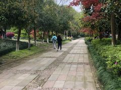 -杭州少年儿童公园