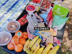 -东湖落雁景区