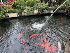 -寻味顺德·南记酒家·传统顺德菜·鱼生(广源路店)